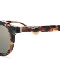 画像をギャラリービューアに読み込む, SPLL82 500AGG_04