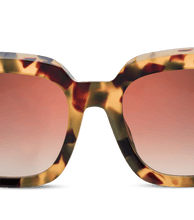 画像をギャラリービューアに読み込む, SPLL99 530AGG_04