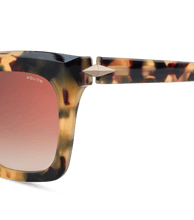 画像をギャラリービューアに読み込む, SPLL99 530AGG_05