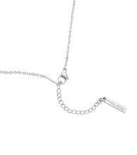 Cargar imagen en el visor de la galería, PEAGN0033101_03