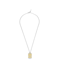 Cargar imagen en el visor de la galería, PEAGN0033302_01