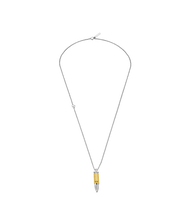 Lade das Bild in den Galerie-Viewer, PEAGN0034103_01