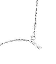 Lade das Bild in den Galerie-Viewer, PEAGN0034103_03