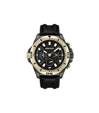 Lade das Bild in den Galerie-Viewer, PEWJF0022501_01