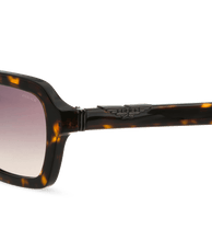 画像をギャラリービューアに読み込む, SPLL14 530722_05