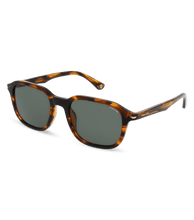 Load image into Gallery viewer, SPLL81 53836Y_02