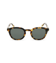 画像をギャラリービューアに読み込む, SPLL82 500AGG_01