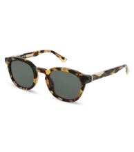 画像をギャラリービューアに読み込む, SPLL82 500AGG_02