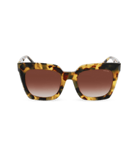 画像をギャラリービューアに読み込む, SPLL99 530AGG_01