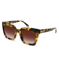 画像をギャラリービューアに読み込む, SPLL99 530AGG_02