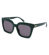 画像をギャラリービューアに読み込む, SPLL99 530D80_02