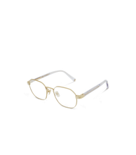 Load image into Gallery viewer, VPLD54 500300_02