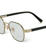 Load image into Gallery viewer, VPLD54 500301_04